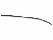 Zierleiste Windschutzscheibe Frontscheibe FORD C-MAX II (DXA/CB7, DXA/CEU) 1.6 TDCi AM51R03195