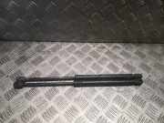 Gasfeder für Motorhaube Jaguar X-Type (X400) 1X4316C826AC