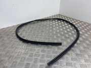 Türgummi rechts vorne Peugeot Expert III Kasten (V)