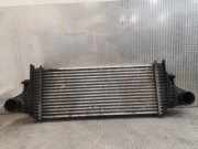 Ladeluftkühler Mercedes-Benz R-Klasse (W251) 2515000000