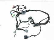 Kabel der vorderen linken Tür LAND ROVER RANGE ROVER EVOQUE (L538) 2.2 D 4x4 BJ3214630 A50020077