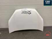 Motorhaube Fiat Doblo Van (263) 52101773