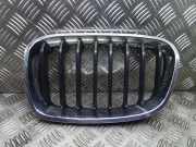Gitter Grill vorne links BMW 1 (F20) 116 d 7262117 7239021
