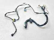 Kabel Tür Nissan Pulsar (C13) 241253ZL0D