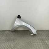 Kotflügel vorne rechts SKODA SUPERB III (3V3) 1.6 TDI 3V0821106