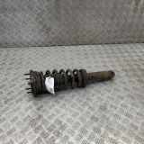 Stoßdämpfer hinten rechts JAGUAR XK Coupe (X150) 5.0 XKR 8W83-18080-AG