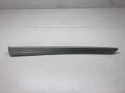 Türpolsterverkleidung hinten rechts SEAT EXEO (3R2) 2.0 TFSI 3R0867419B