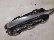 Gitter vorne unten JAGUAR XF (X250) 3.0 D 8X2315K233BC