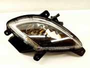 Nebelscheinwerfer links vorne Hyundai iX20 (JC)
