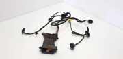 Kabel Tür vorne rechts VW PASSAT B7 ALLTRACK (365) 2.0 TDI 3C1971121BN