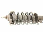 Stoßdämpfersatz Vorderachse Renault Trafic II Kasten (FL)