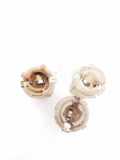 Lampenverkleidung hinten links BMW 7 (E32) 750 i,iL V12 457201