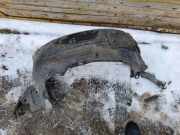 Innenkotflügel vorne rechts NISSAN PRIMERA Estate (WP12) 1.8 63840AV600