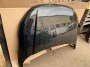 Motorhaube LAND ROVER RANGE ROVER EVOQUE (L538) 2.2 D 4x4 COLORLRC820