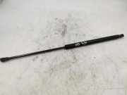 Heckklappe Gasdruckfeder rechts ALFA ROMEO GIULIETTA (940_) 2.0 JTDM (940.FYC1A, 940.FXQ1A) 7457140410N 50509830