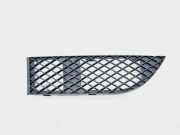 Kühlergrill unten BMW 7er (E65, E66) 51117135563