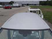 Dach mit Sonnendachausschnitt VW Tiguan II (AD)