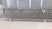 Kühlergrill unten Ford Transit Pritsche (F**6) YC158200AMW