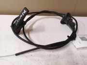 Griff Klappenzug Citroen C4 Grand Picasso (U) 2391723