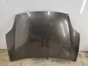 Motorhaube FIAT BRAVO II (198_) 2.0 D Multijet 284A