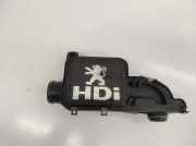 Entlüftungsschlauch PEUGEOT 1007 (KM_) 1.4 HDi 9647507680 9650712480E4