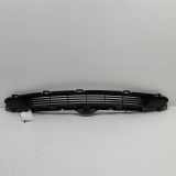 Gitter vorne unten TESLA MODEL 3 EV AWD 1516848-00-A