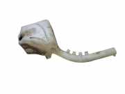 Fensterwaschtank FORD FUSION (JU_) 1.4 TDCi