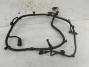 Kabelbaum Vorderen Parksensoren CITROËN C4 Picasso I (UD_) 1.6 HDi 110 9670951680
