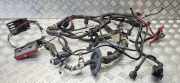 Kabel Motor Ford Focus II Turnier (DA, DS, FFS) 98AG12A522AHG