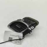 Frischluftgrill CHEVROLET CORVETTE (C7) 6.2 20989581