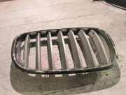 Vorderer oberer Gitter BMW X6 (E71, E72) xDrive 50 i 7185224