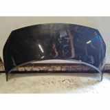 Motorhaube RENAULT GRAND SCÉNIC IV (R9_) 1.2 TCe 130