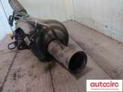 Aktivkohlefilter für Tankentlüftung Citroen DS5 () 9802964480