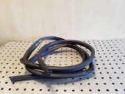 Türdichtung Toyota Corolla Verso (E12J1)