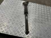 Stoßdämpfer hinten rechts AUDI A4 Allroad (8WH, B9) 2.0 TDI quattro 8W9513035B