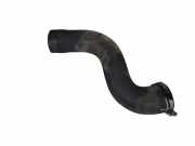 Andere Röhren PEUGEOT 407 (6D_) 2.0 HDi 135