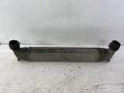 Ladeluftkühler Ford Galaxy (CK) 0823856