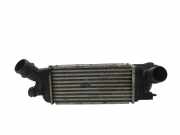 Ladeluftkühler PEUGEOT 407 (6D_) 2.0 HDi 135 9645682880