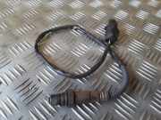 Lambdasonde VW Passat B6 Variant (3C5) 03G906262