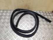 Dichtungsgummi der hinteren Tür (an der Karosserie) FORD FOCUS IV (HN) 1.0 EcoBoost