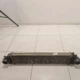 Ladeluftkühler FORD S-MAX 2.0 TDCi FCC7A
