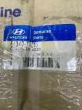 Andere innere Motorteile HYUNDAI TRAJET (FO) 2.0