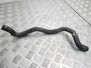 Schlauch Kühlung RENAULT MEGANE II (BM0/1_, CM0/1_) 1.6 16V (BM0C, CM0C)