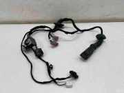 Türverkabelung hinten links LAND ROVER DISCOVERY SPORT (L550) 2.0 D 4x4