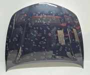 Motorhaube ALFA ROMEO STELVIO (949_) 2.2 D Q4