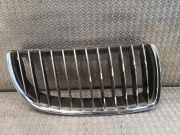 Ziergitter BMW 3er (E90) 7120010