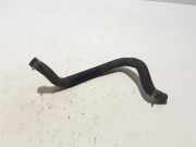 Kühlerschlauch Renault Megane IV Schrägheck (B9A) 924000642R