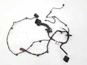 Türverkabelung hinten links FORD C-MAX II (DXA/CB7, DXA/CEU) 2.0 TDCi FV6T14240RED