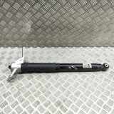 Stoßdämpfer hinten links VOLVO XC40 (536) Recharge AWD 32370244