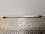 Heckklappendämpfer links Audi A3 Sportback (8V) 8Z0827552B